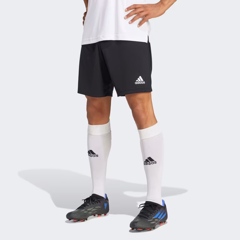 Adidas: Shorts Entrada 22