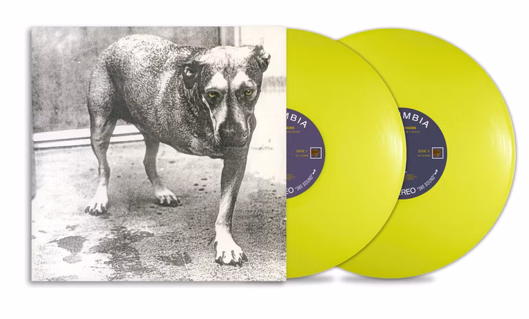 Amazon: Alice In Chains (2 LP) (Vinyl) 30th Anniversary Edition Double yellow colored vinyl LP
