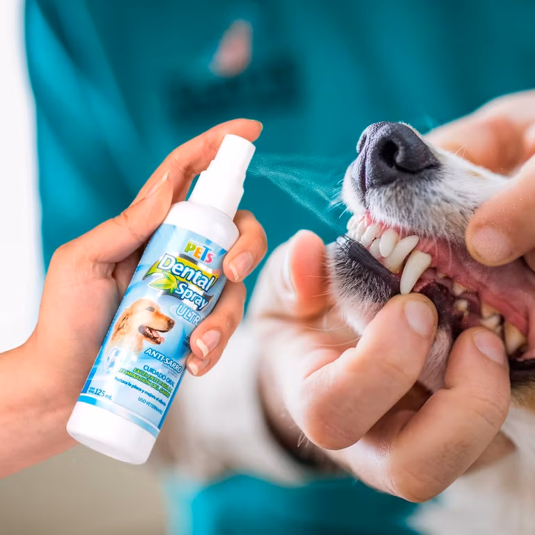 AMAZON: Fancy Pets Spray Dental Ultra para Perros, 125 ml, Higiene Bucal con Flúor y Zinc, Aliento Fresco y Prevención de Sarro