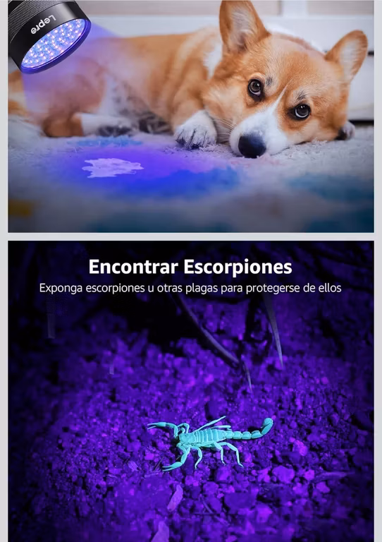 Amazon: Lámpara de Luz Negra Ultravioleta de 395nm con 51 LED, Impermeable IPX4, para Billetes Falsos, Escorpión, Manchas de Mascotas