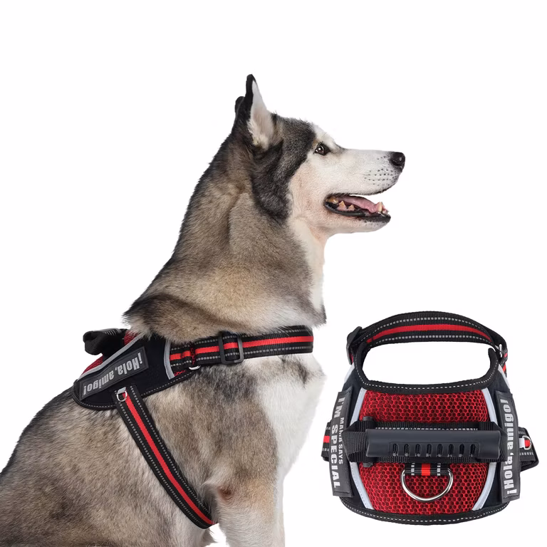 AMAZON: SAN KARA Arnés para Perros Transpirable Tipo Silla de Montar con 2 Velcros, Doble Capa de Malla (Disponible todas las tallas)