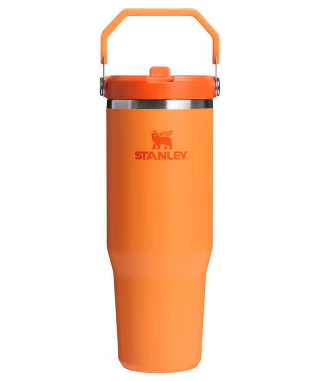 AMAZON STANLEY IceFlow 2.0 - Vaso con popote abatible con asa de 30 onzas, tapa giratoria y pajita abatible, Coral dorado (Miembros Prime)