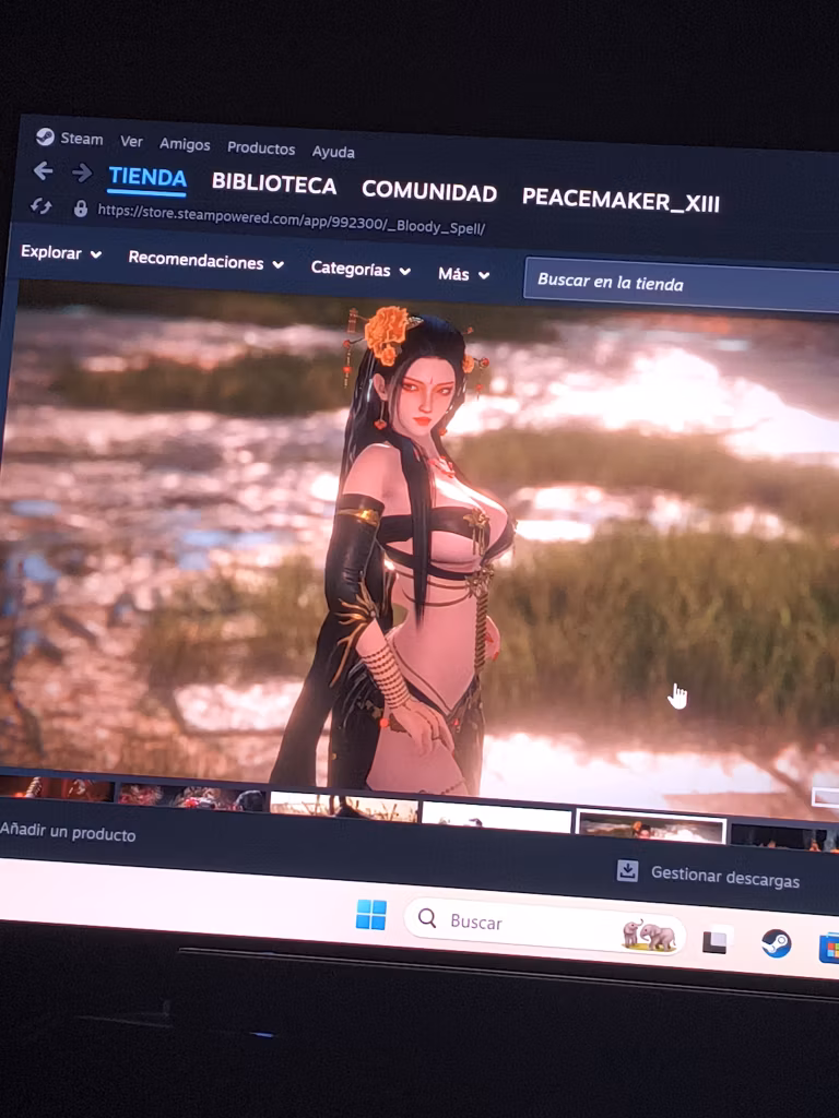 Steam: Bloody Spell Steam PC